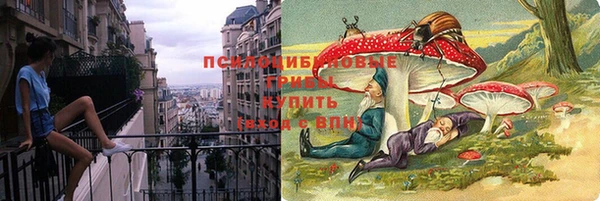 трава Надым