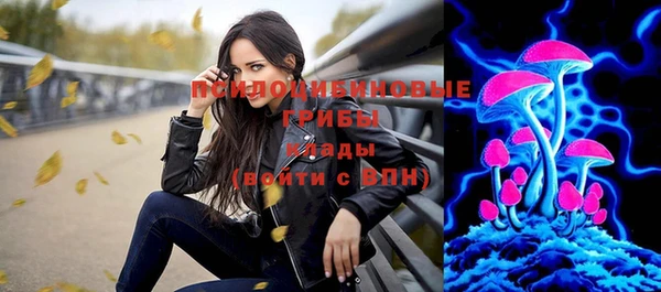 ГАЛЛЮЦИНОГЕННЫЕ ГРИБЫ Вязьма