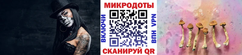Псилоцибиновые грибы мицелий  Осинники 