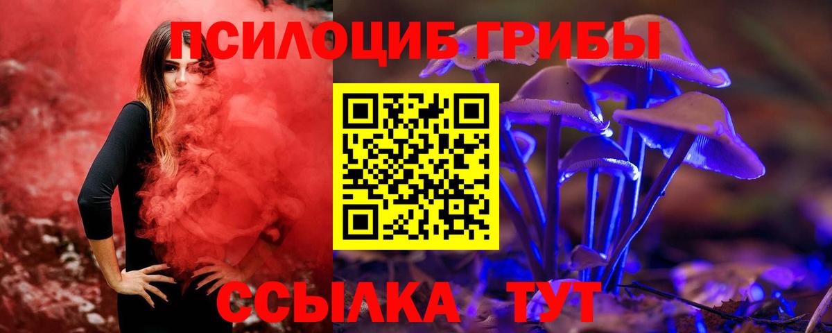 Осинники  Галлюциногенные грибы MAGIC MUSHROOMS  Вход с VPN 