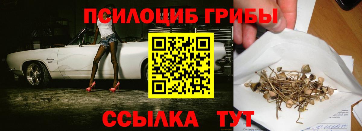 Псилоцибиновые грибы Magic Shrooms Осинники